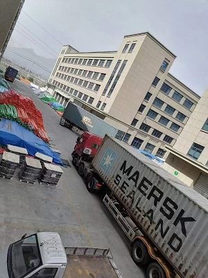 IFAN Brass Loading Daily